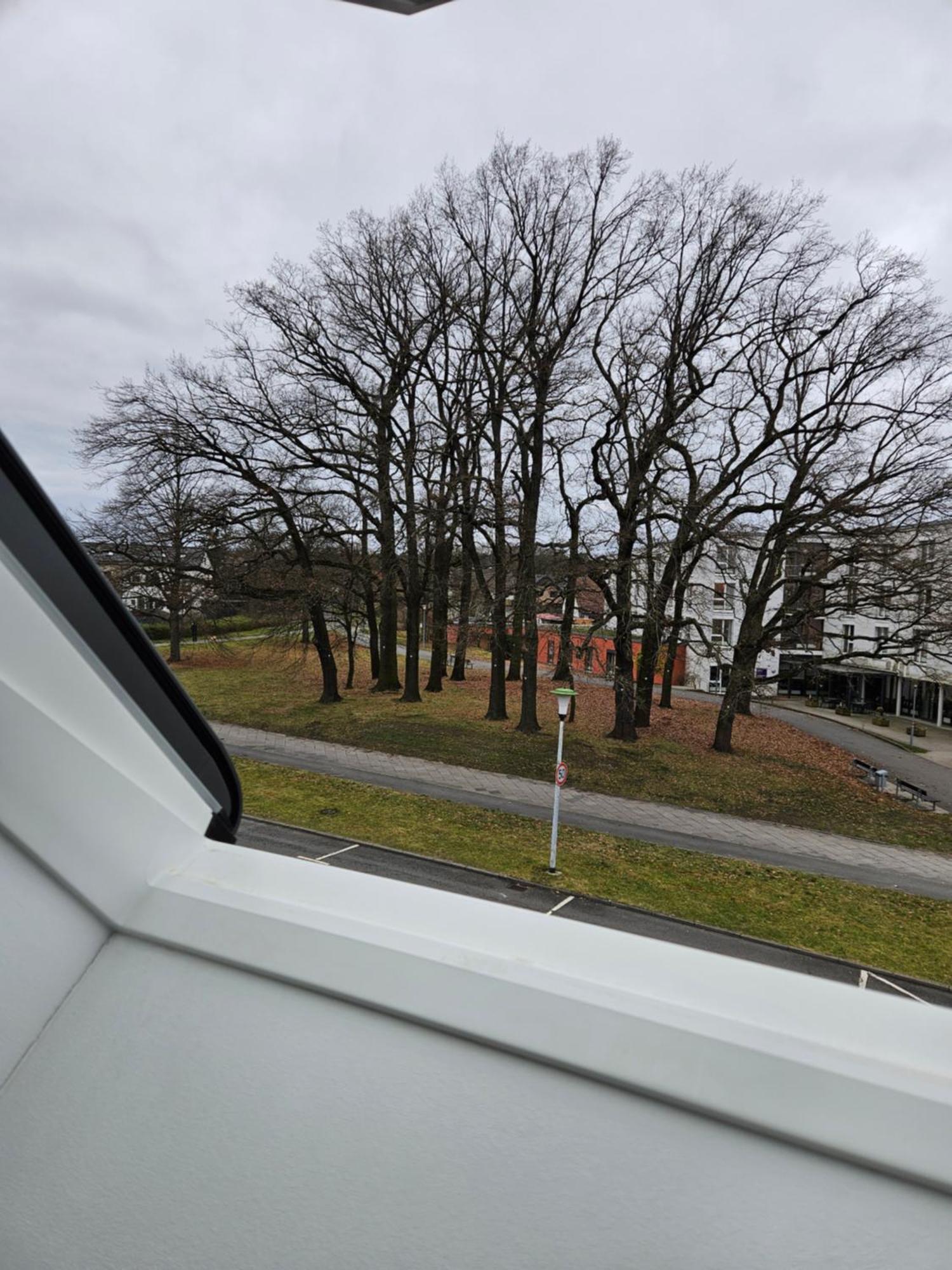 3 Zimmerwohnung Am Neuer Teich Wolfsburg Exterior foto